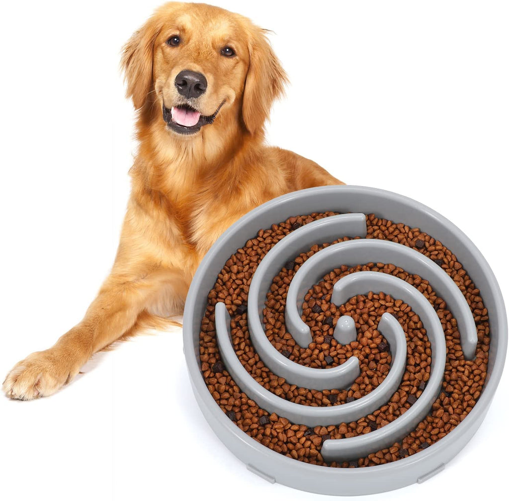 Slow Feeder Dog Bowl – Prevent Choking & Reduce Fast Eating