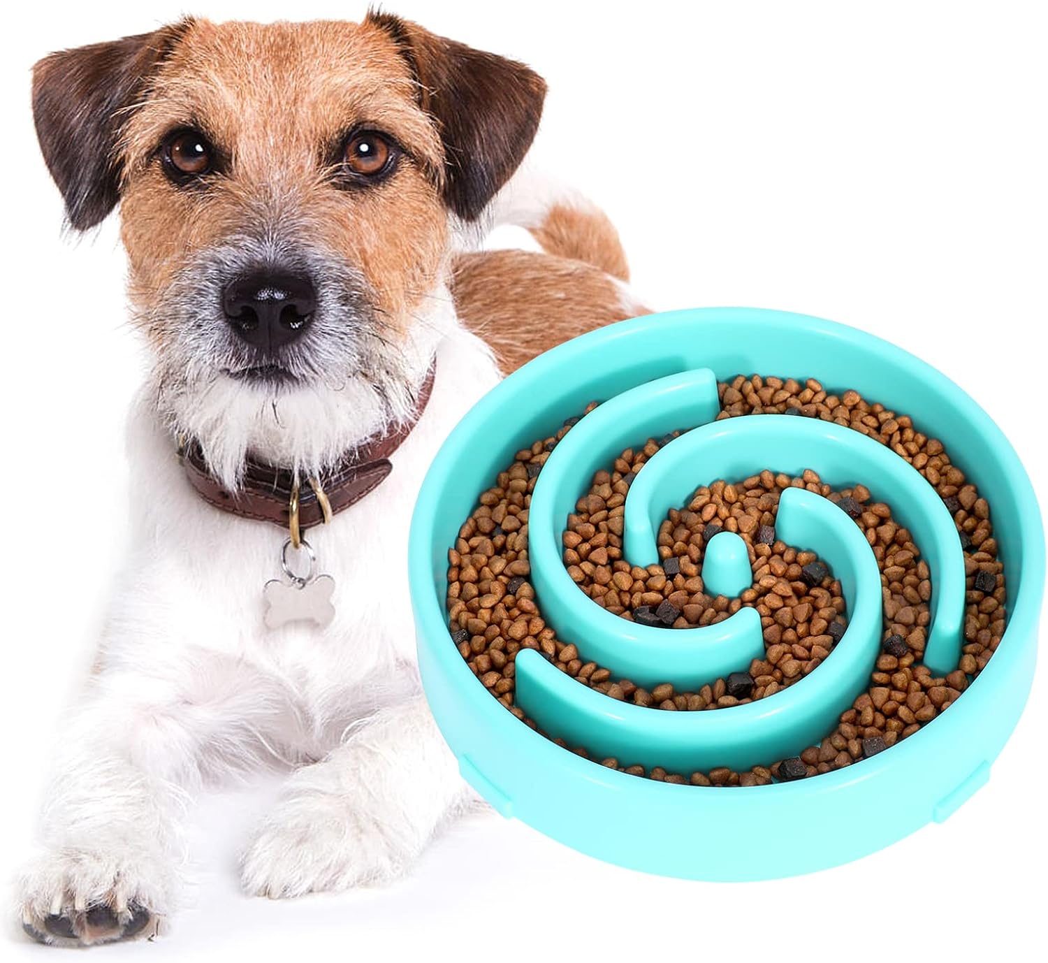 Slow Feeder Dog Bowl – Prevent Choking & Reduce Fast Eating