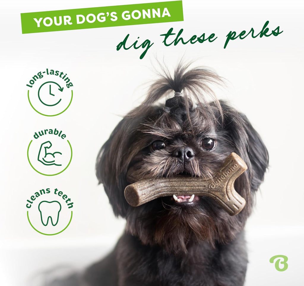 Maplestick Real Wood Dog Chew