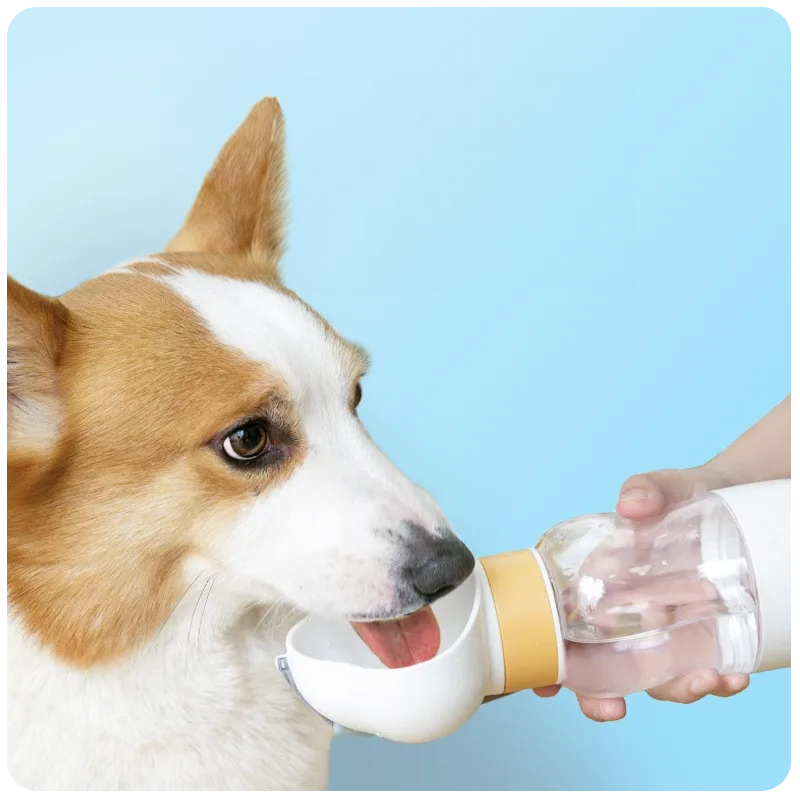 HydroGo Portable Dog Water Bottle
