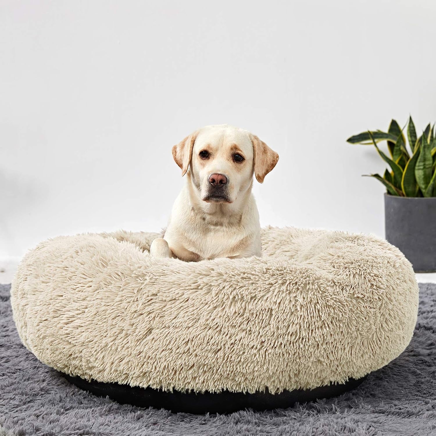 Washable Round Dog Bed – Calming Donut Design 
