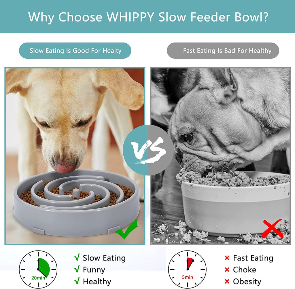 Slow Feeder Dog Bowl – Prevent Choking & Reduce Fast Eating